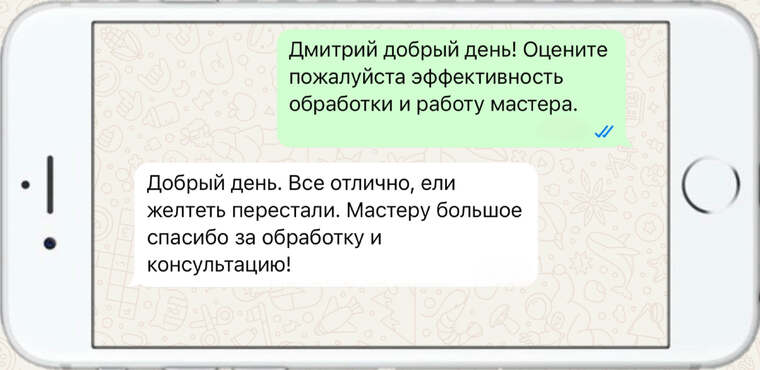 оказываем лечение деревьев от любых болезней - фото №11