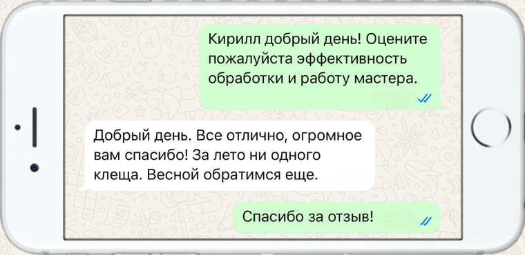 оказываем лечение деревьев от любых болезней - фото №20