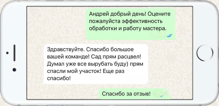 оказываем лечение деревьев от любых болезней - фото №23